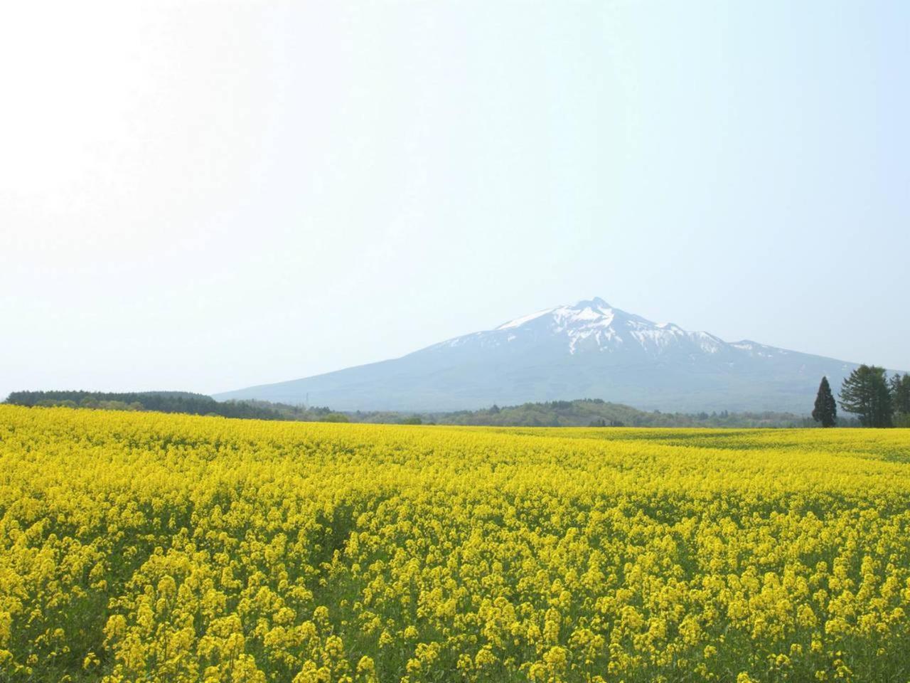 Apa Hotel Aomori Eki Kenchodori מראה חיצוני תמונה